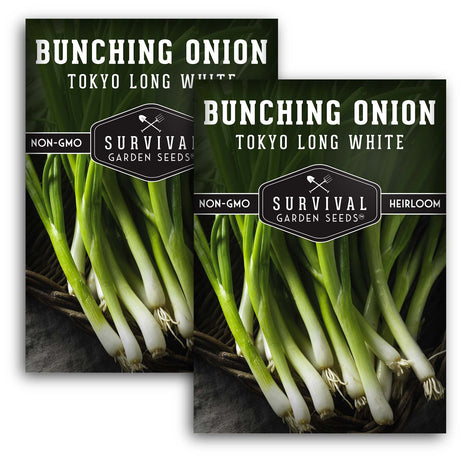 Tokyo Long White Onion Seeds - Bunching Onion