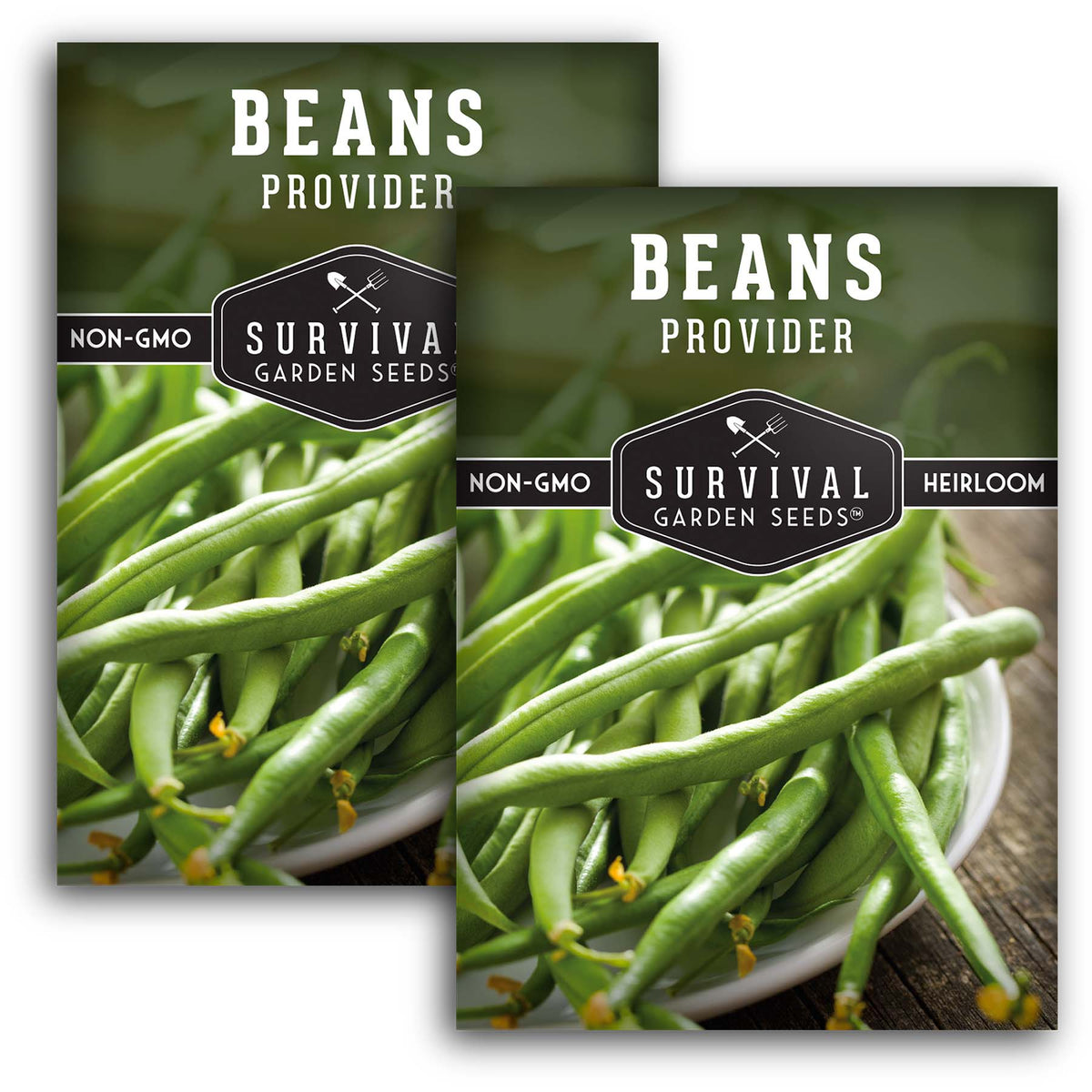 Provider Bush Bean Seed