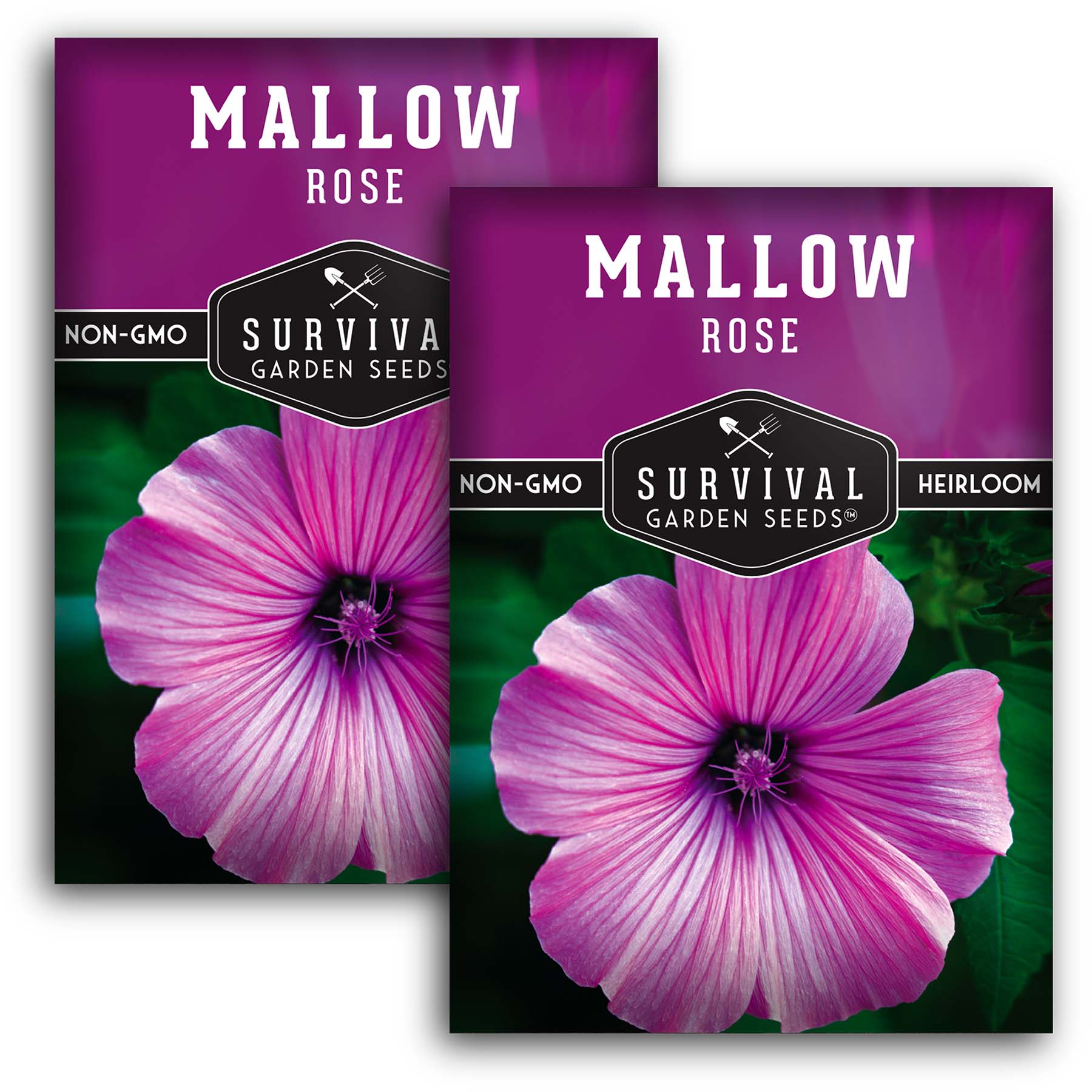 rose mallow from seed Rose Mallow Seeds – Native Hibiscus Flower 2 Packets