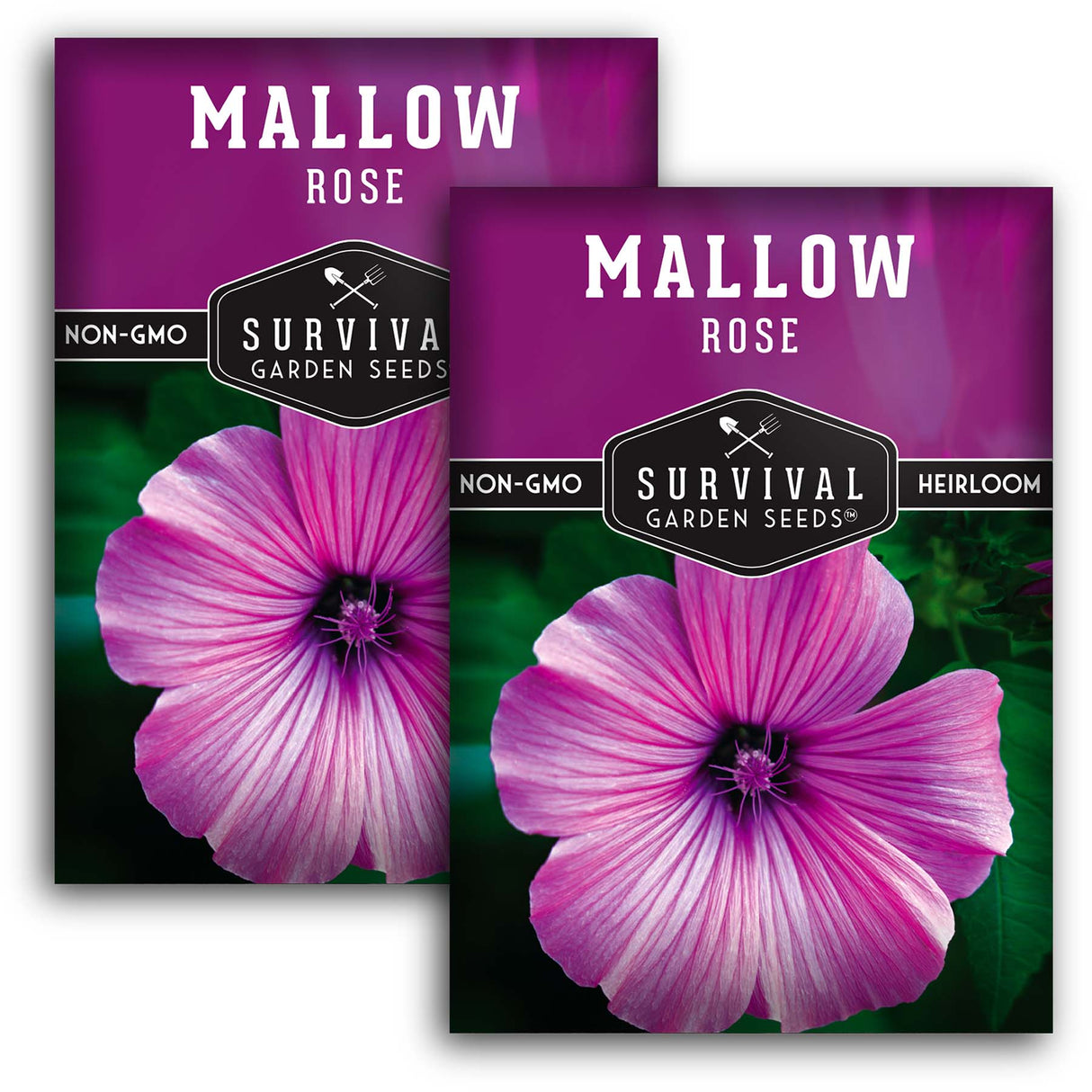 2 Packets of Rose Mallow Seeds