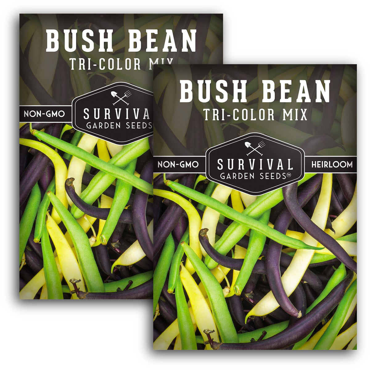 Tri-Color Mix Bush Bean Seed
