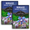 Borage Seeds