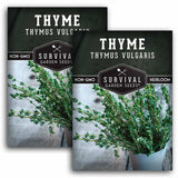 Thyme Seed