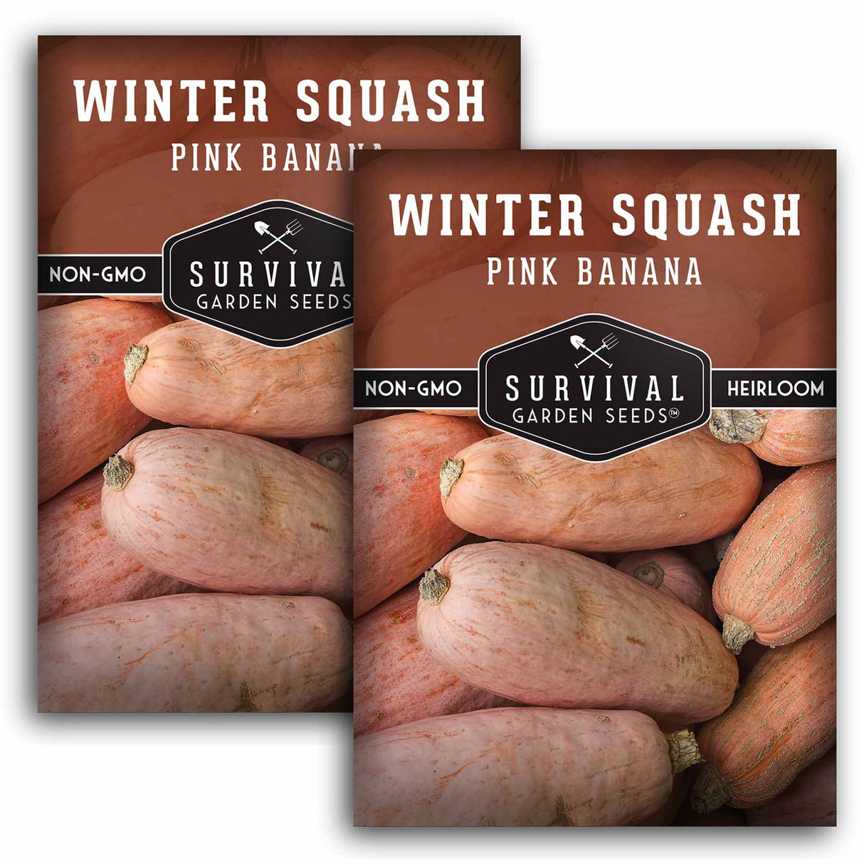 Pink Banana Winter Squash Seed