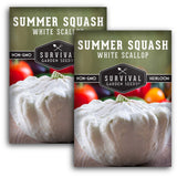 2 Packets of White scallop summer squash seeds