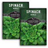 Noble Giant Spinach Seeds