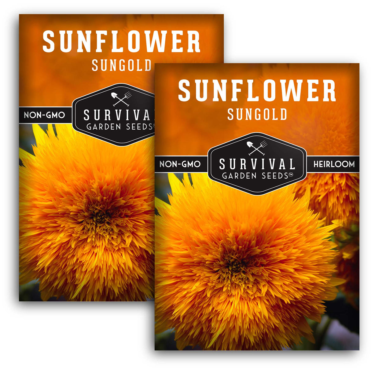 Dwarf Sungold Sunflower Seed