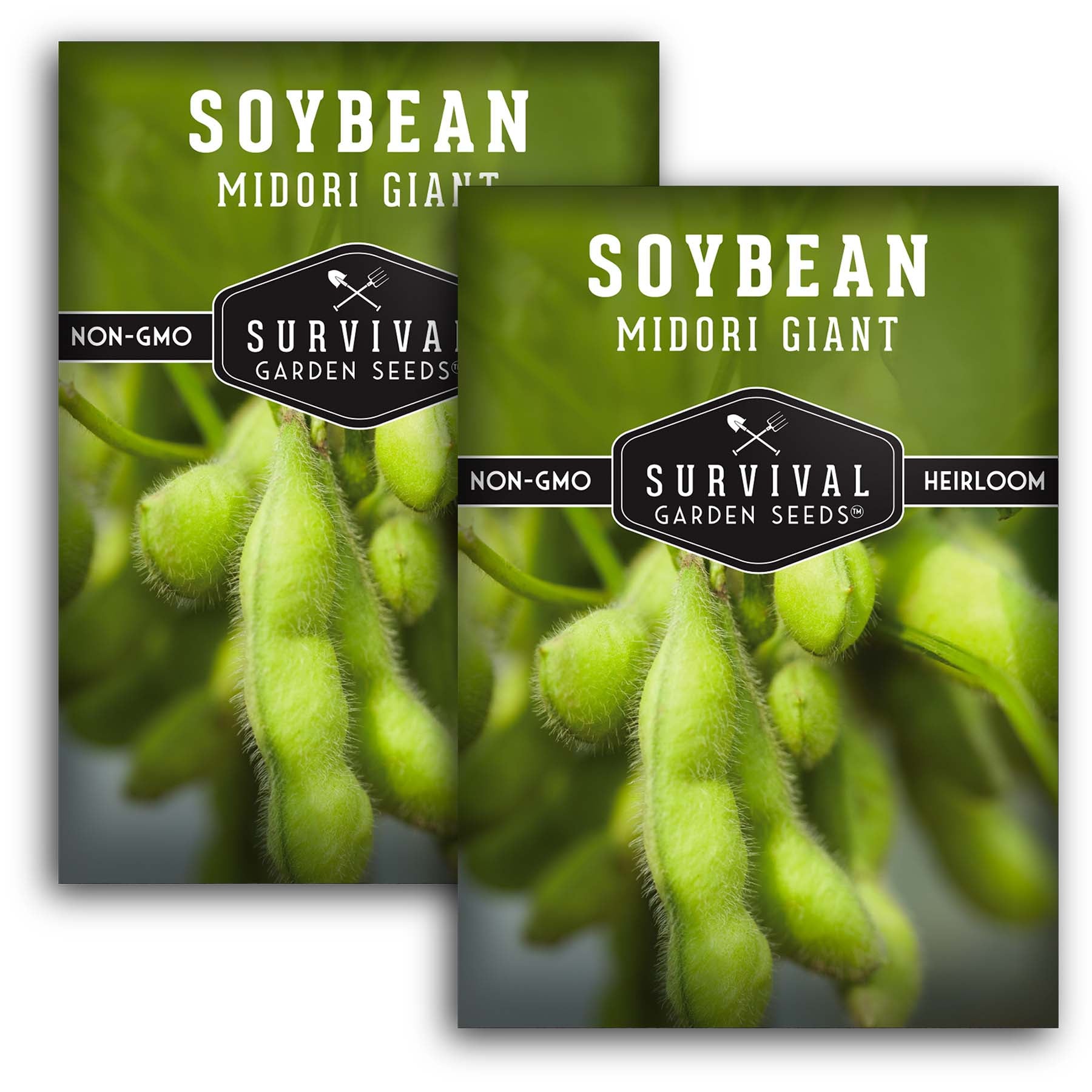 Midori Giant Soybean Seeds – Heirloom Edamame – SurvivalGardenSeeds