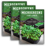 Sunflower Microgreens Seeds