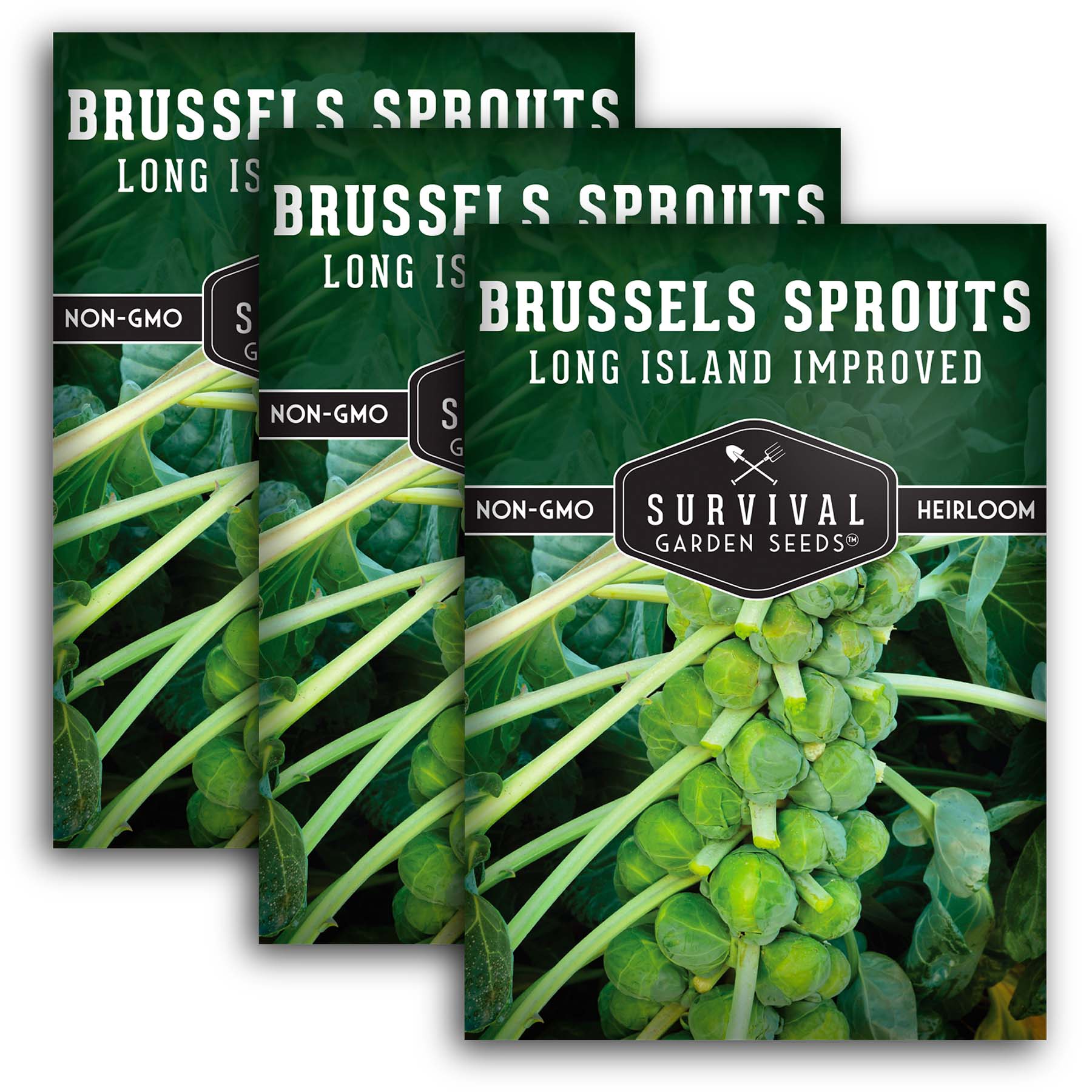 plant brussel sprouts seeds Survival Garden Seeds - 3 Packets Long Island Improved Brussels Sprouts Seed