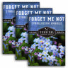 Forget Me Not Seed