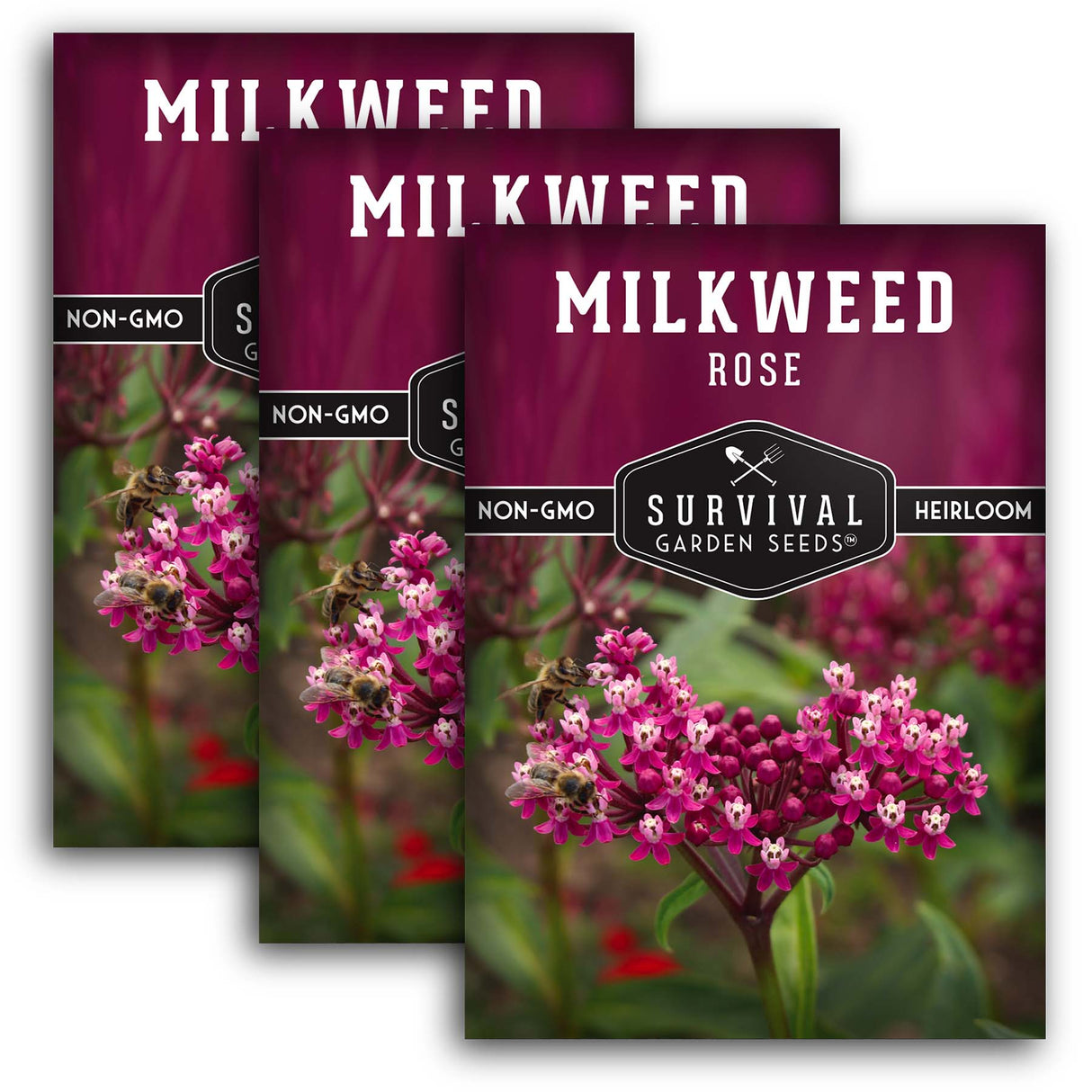 3 Packets of Rose Milkweed seeds