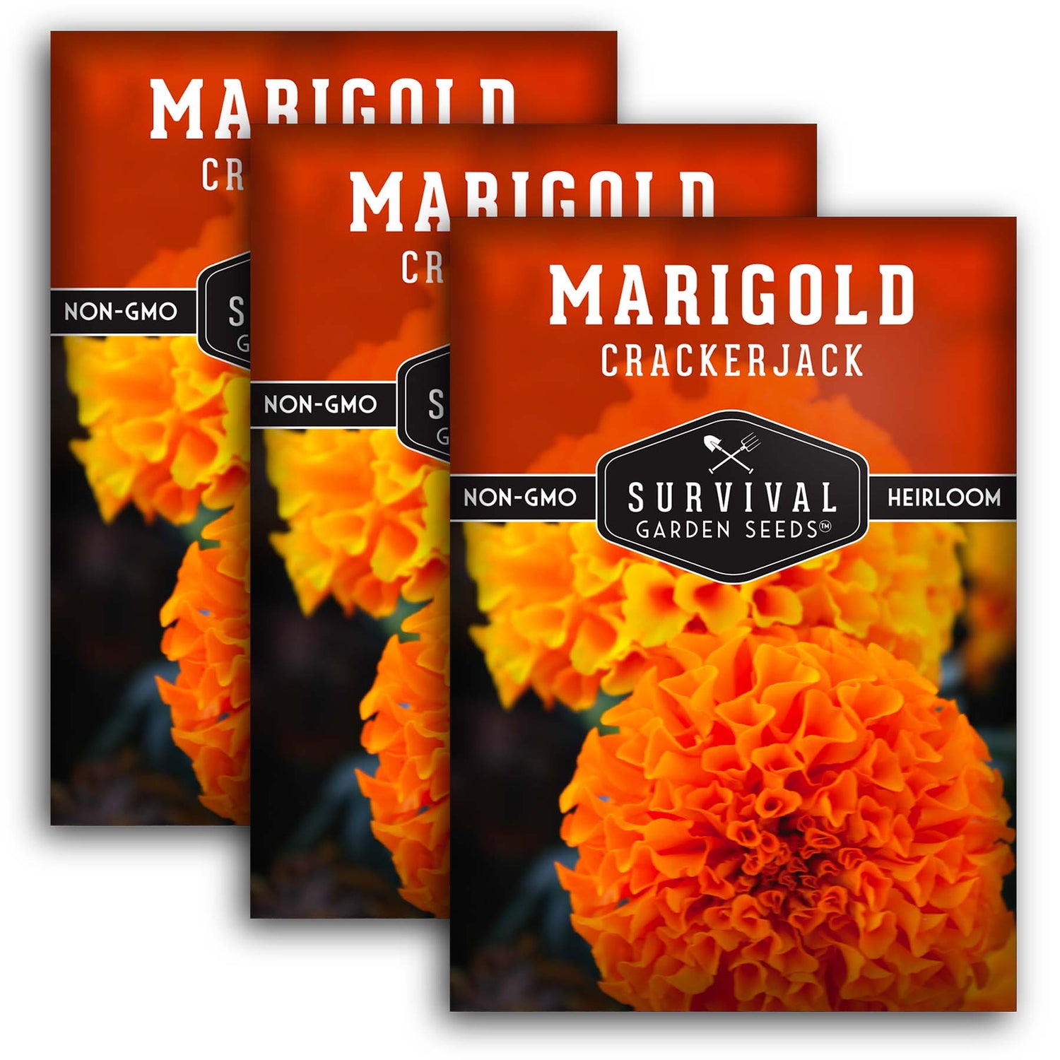 buy marigold seeds Survival Garden Seeds - 5 Packets Crackerjack Marigold Seed