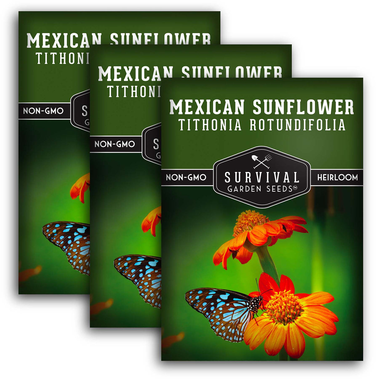 Mexican Sunflower Seeds