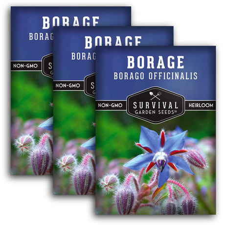 Borage Seeds