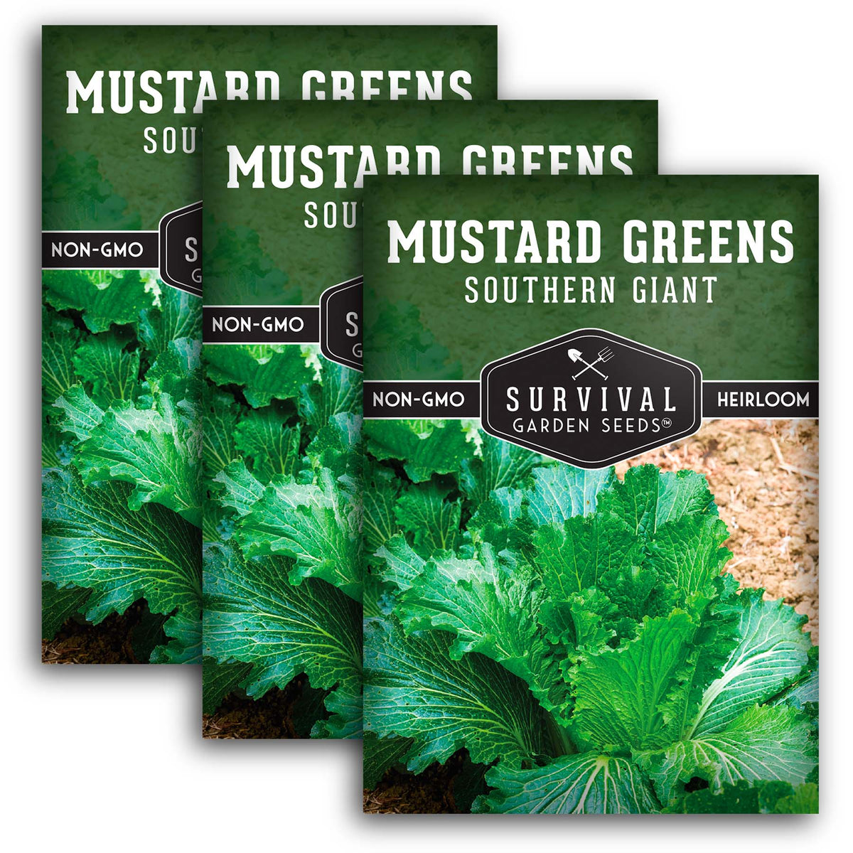 Southern Giant Mustard Greens Seeds