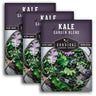 Garden Blend Kale Seeds