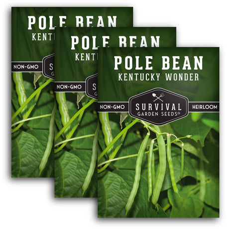 Kentucky Wonder Pole Bean Seed