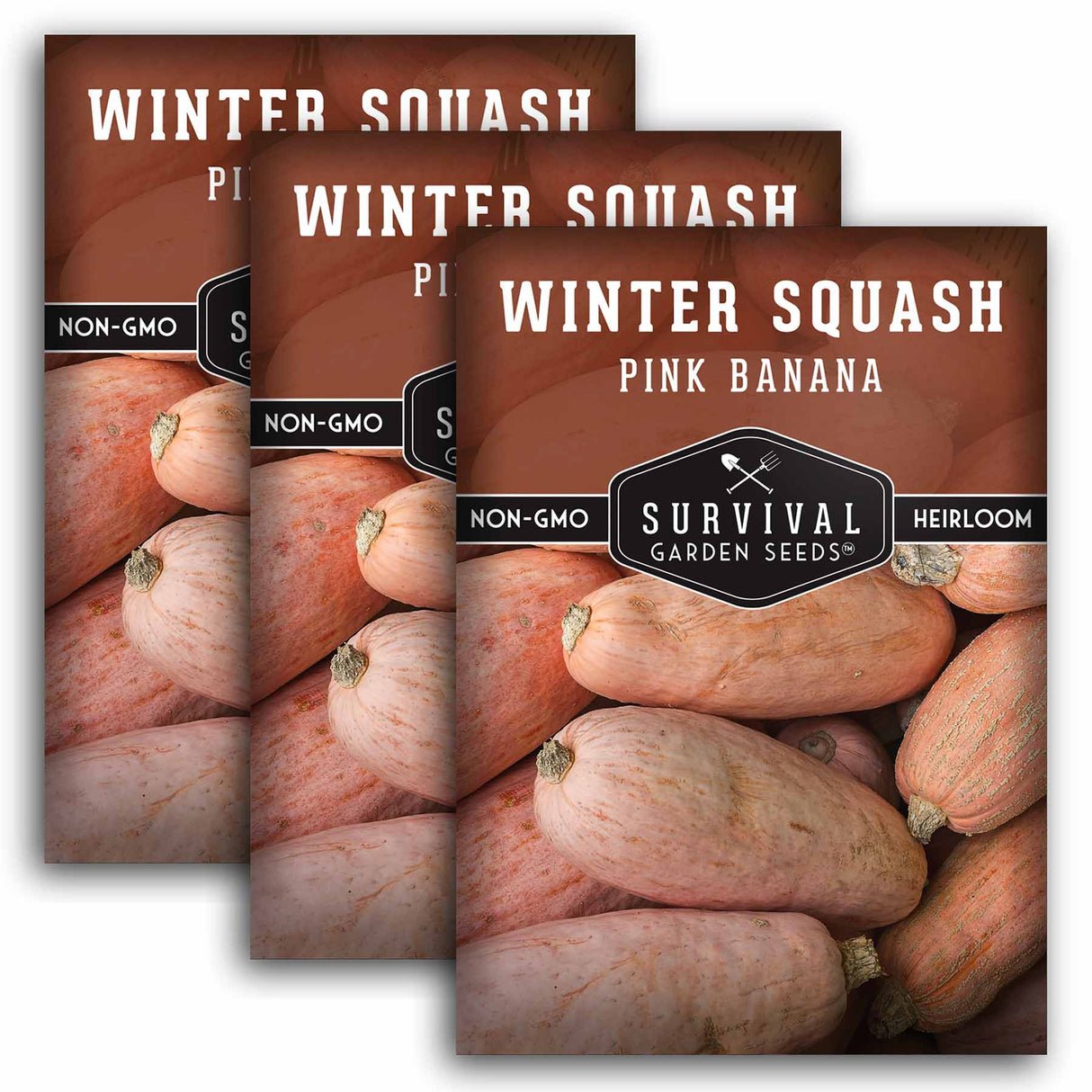 3 Packets of Pink Banana Winter Squash seeds