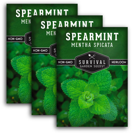 3 packets of Spearmint seeds