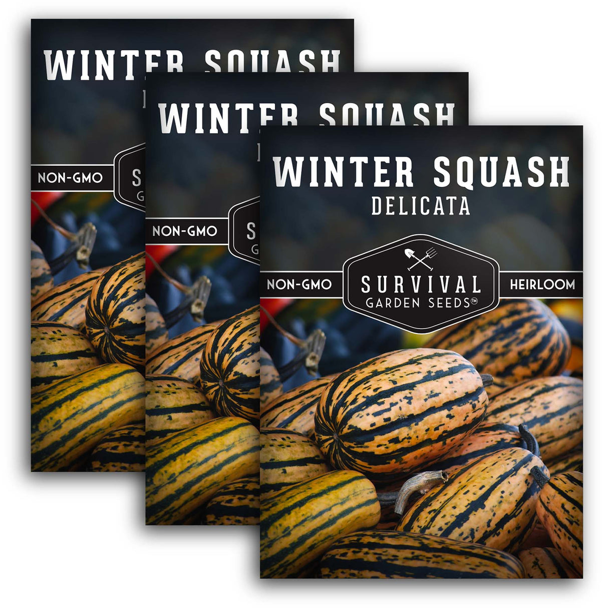 3 Packets of Delicata Winter Squash seeds