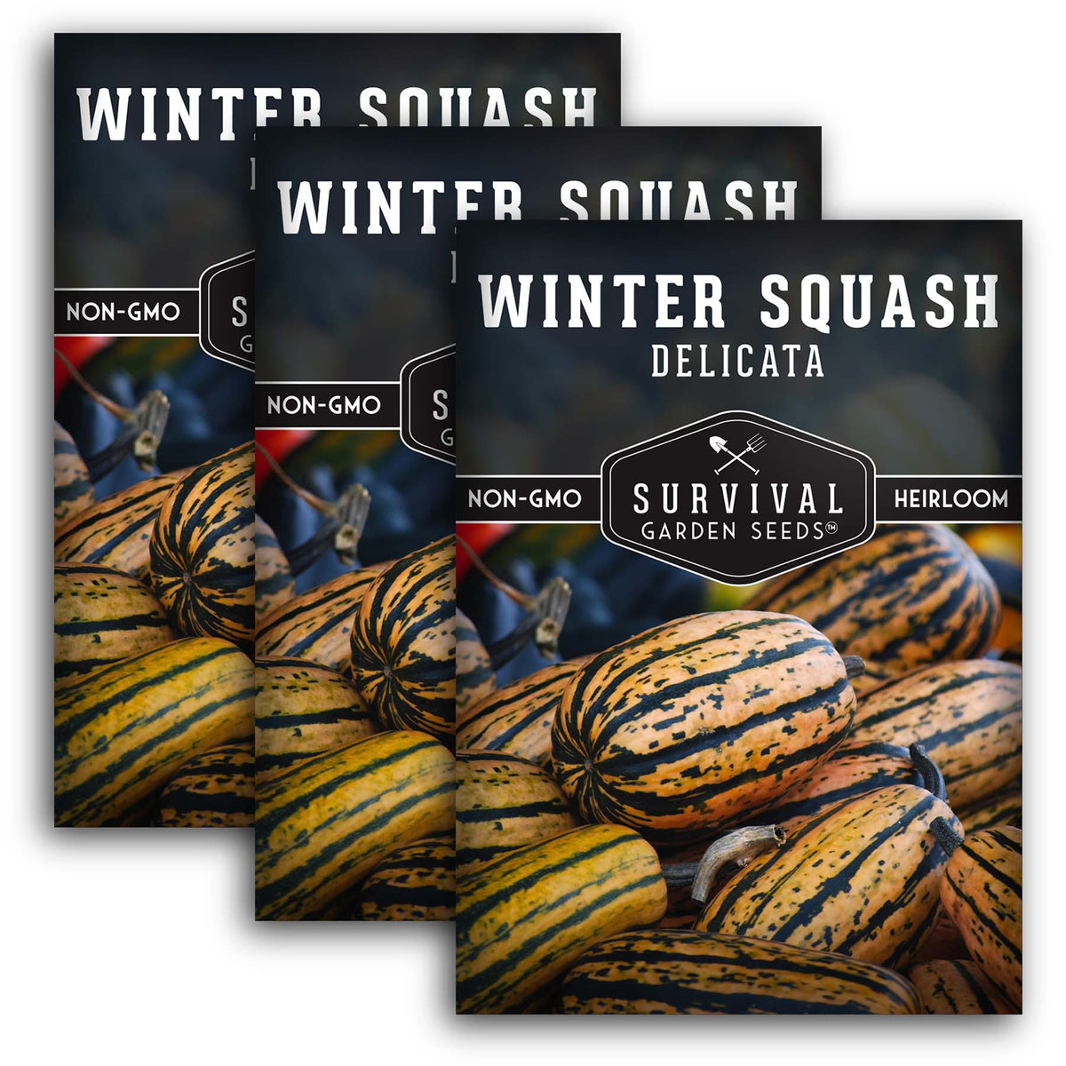 Delicata Winter Squash Seeds