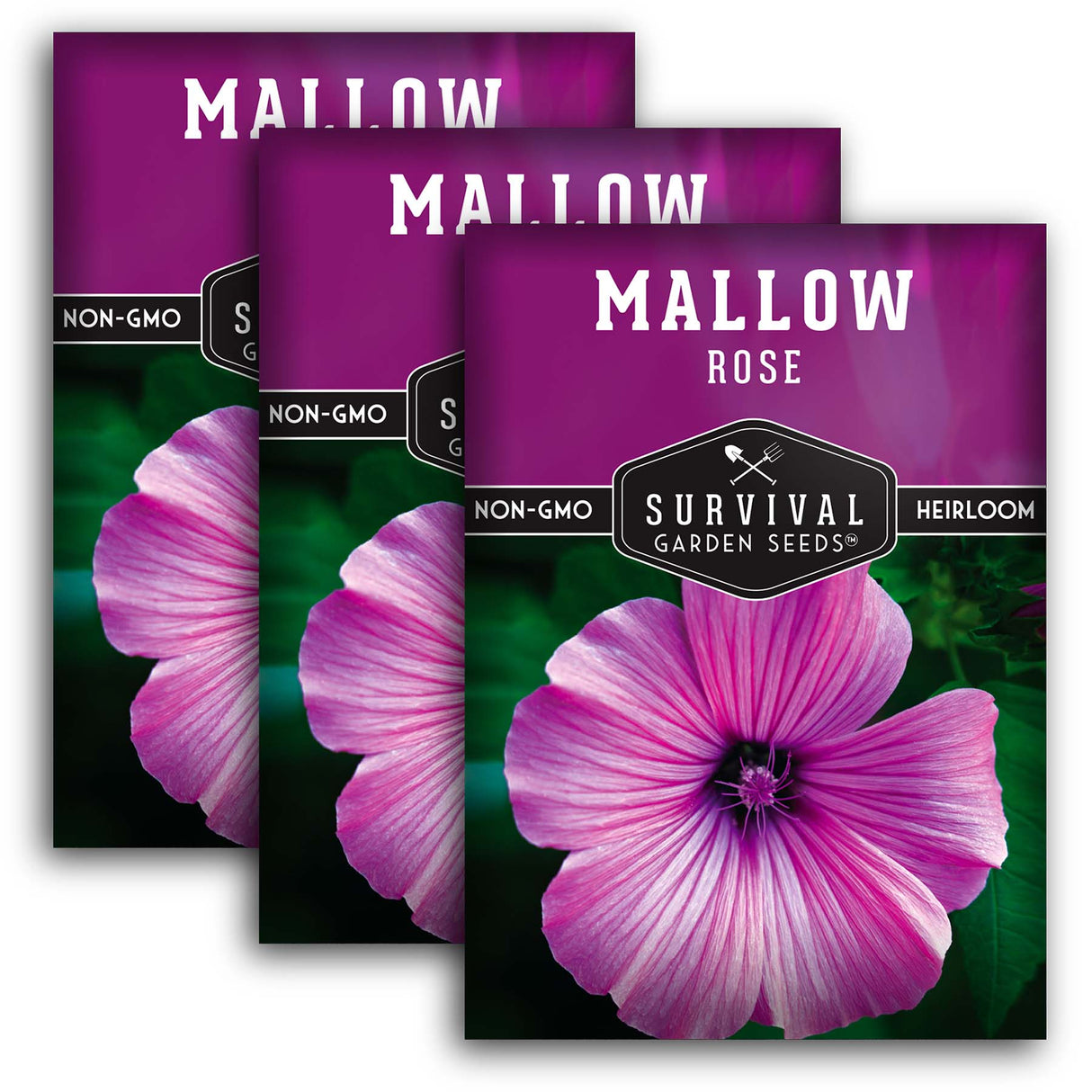 Rose Mallow Seeds