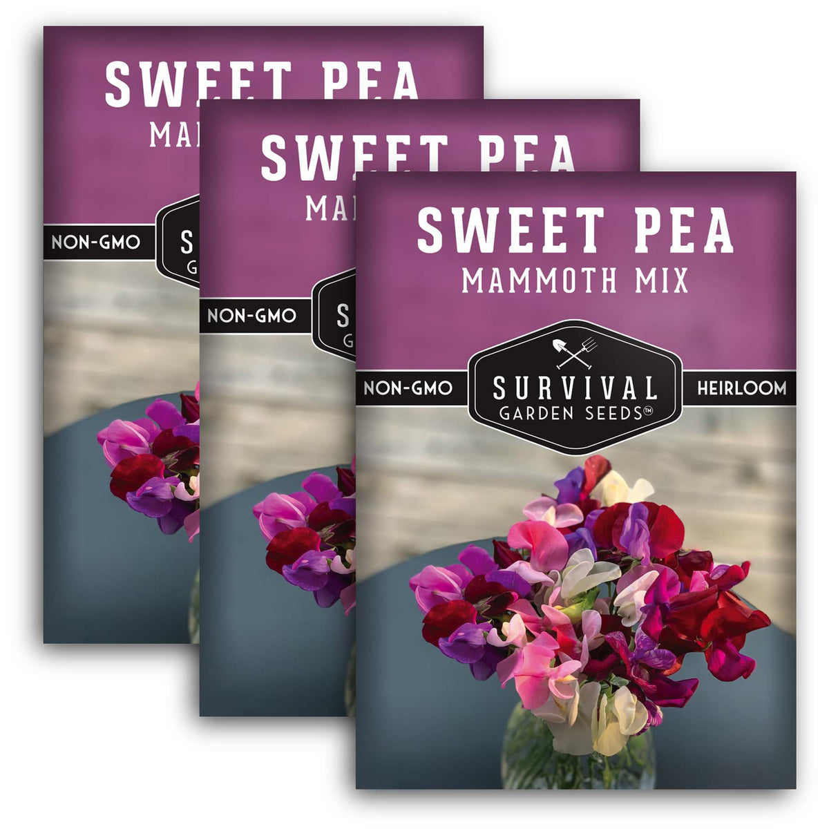 Mammoth Sweet Pea Seed Mix