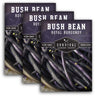 Royal Burgundy Bush Bean Seed