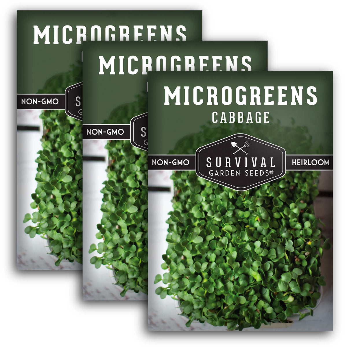 Cabbage Microgreens Seeds