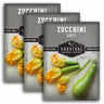 3 Packets of Grey Zucchini seeds