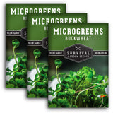 Buckwheat Microgreens Seeds - Tangy Flavor