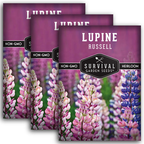 Russell Lupine Seeds