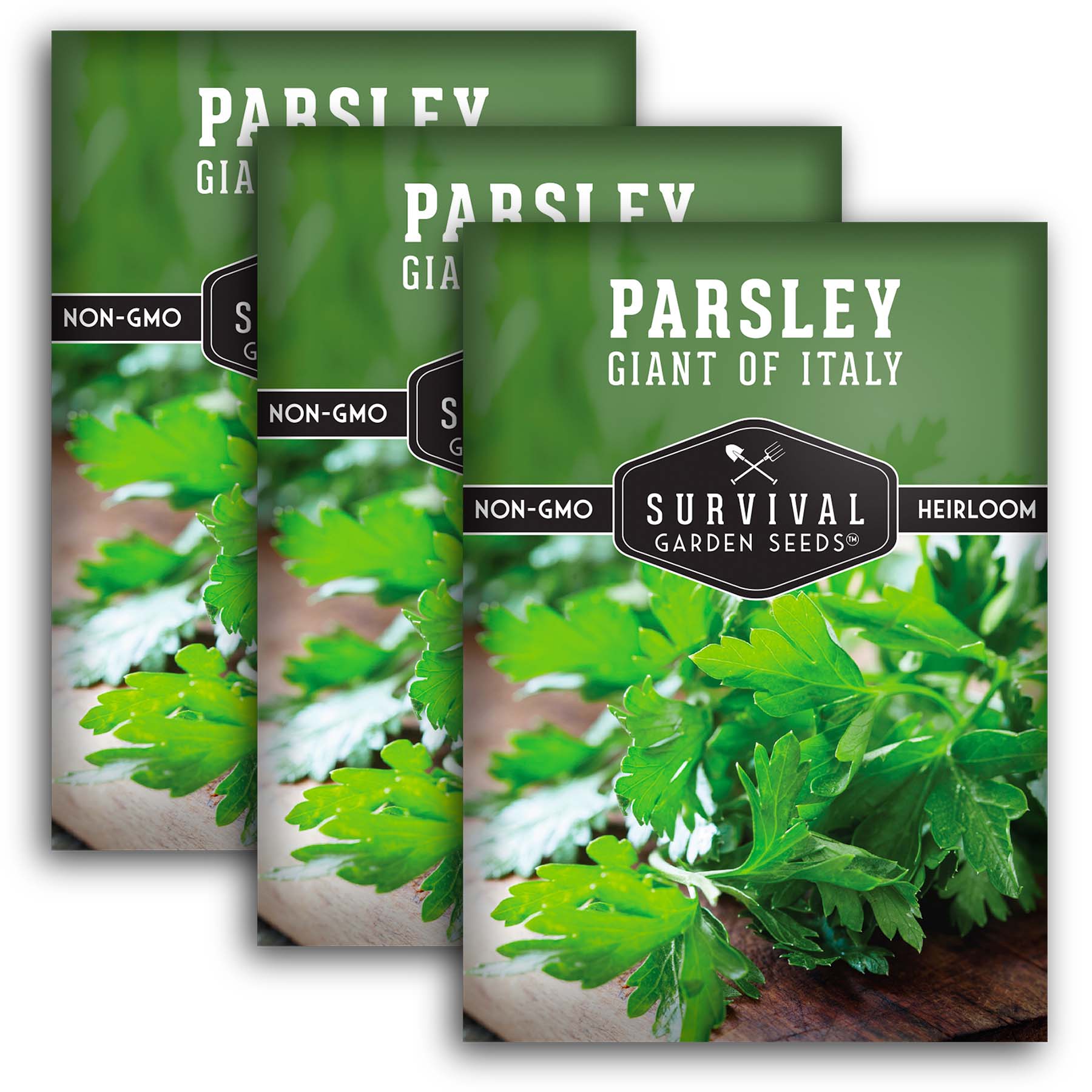 Survival Garden Seeds Giant of Italy Parsley Seeds - Thumbnail 5