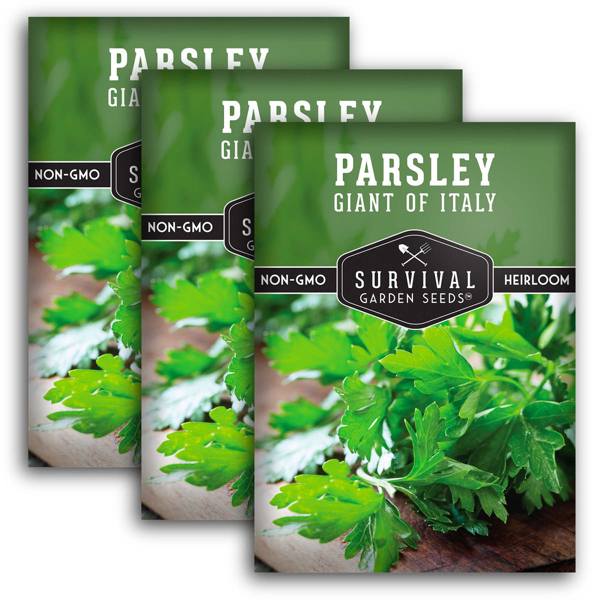 Italian Giant Parsley Seeds