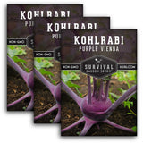 Purple Vienna Kohlrabi Seed