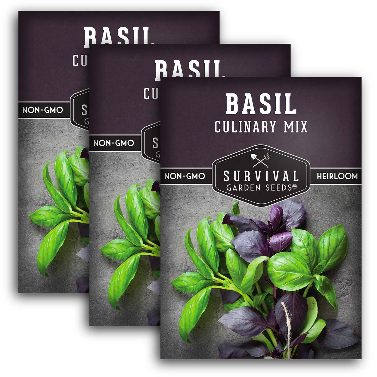 3 Packets of Culinary Mix Basil Seeds