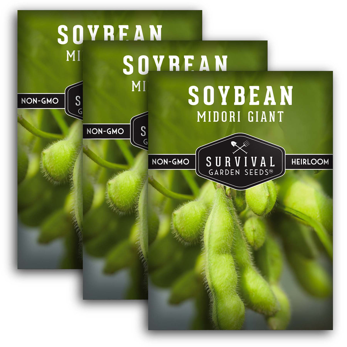 Midori Giant Soybean Seeds