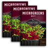 Beet Microgreens Seeds - Sweet Flavor