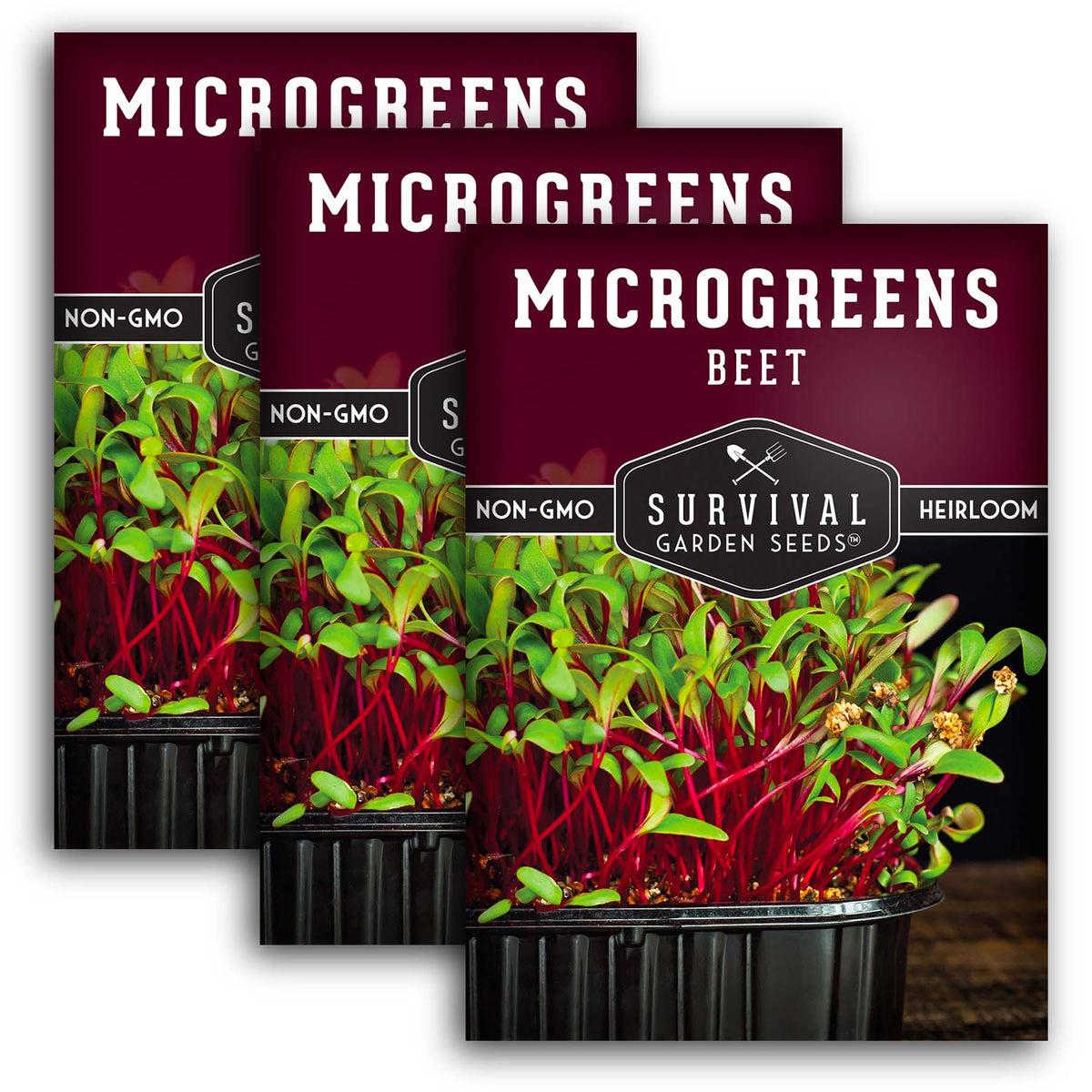 Beet Microgreens Seeds