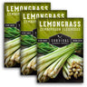 3 Packets of Lemongrass seeds