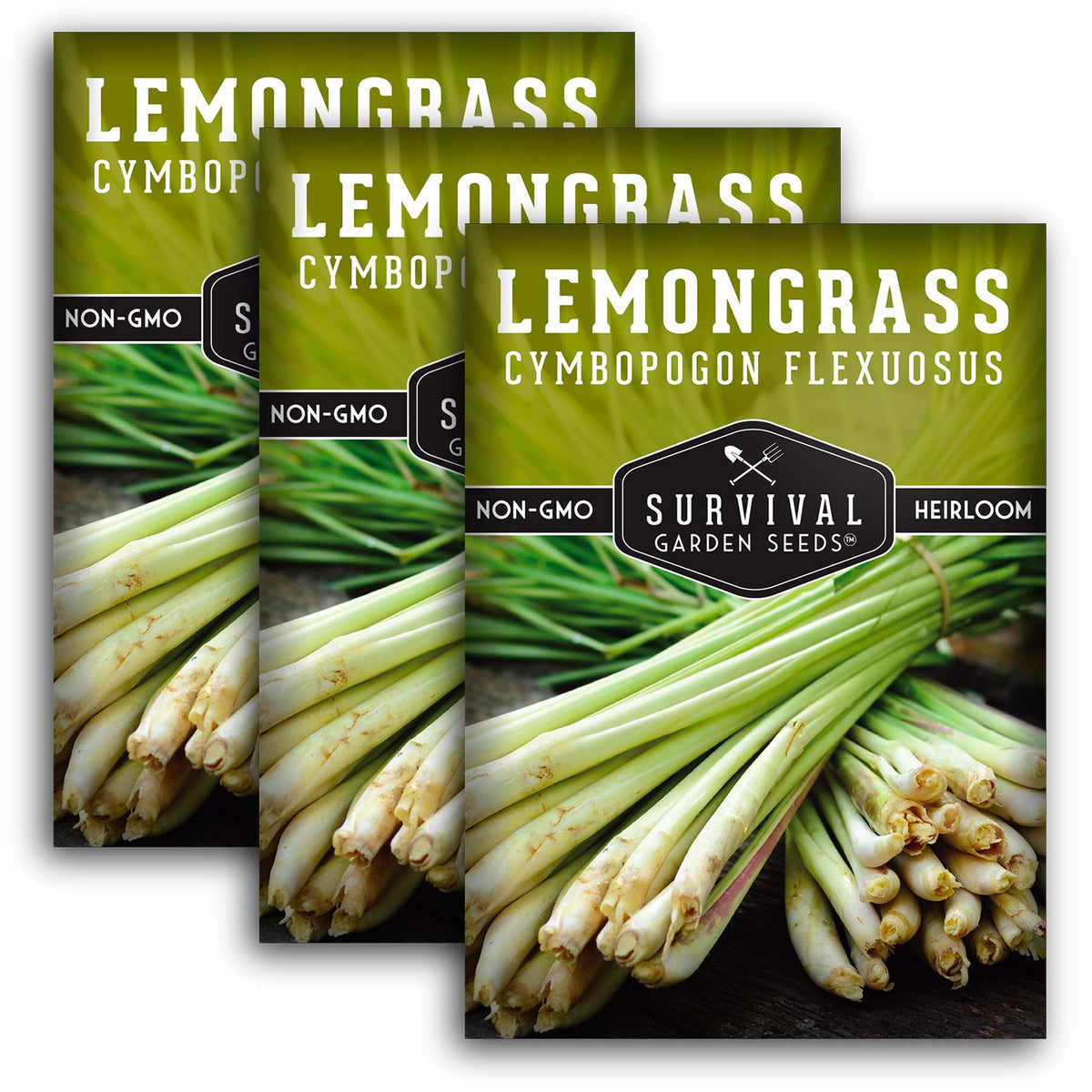 Lemongrass Seeds