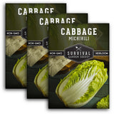 Michihili Nampa Cabbage Seed