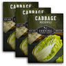 3 packets of Michihili cabbage seeds