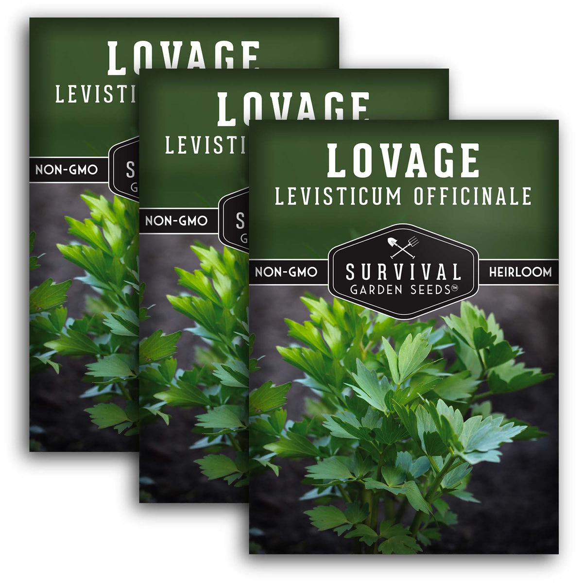 Lovage Seeds