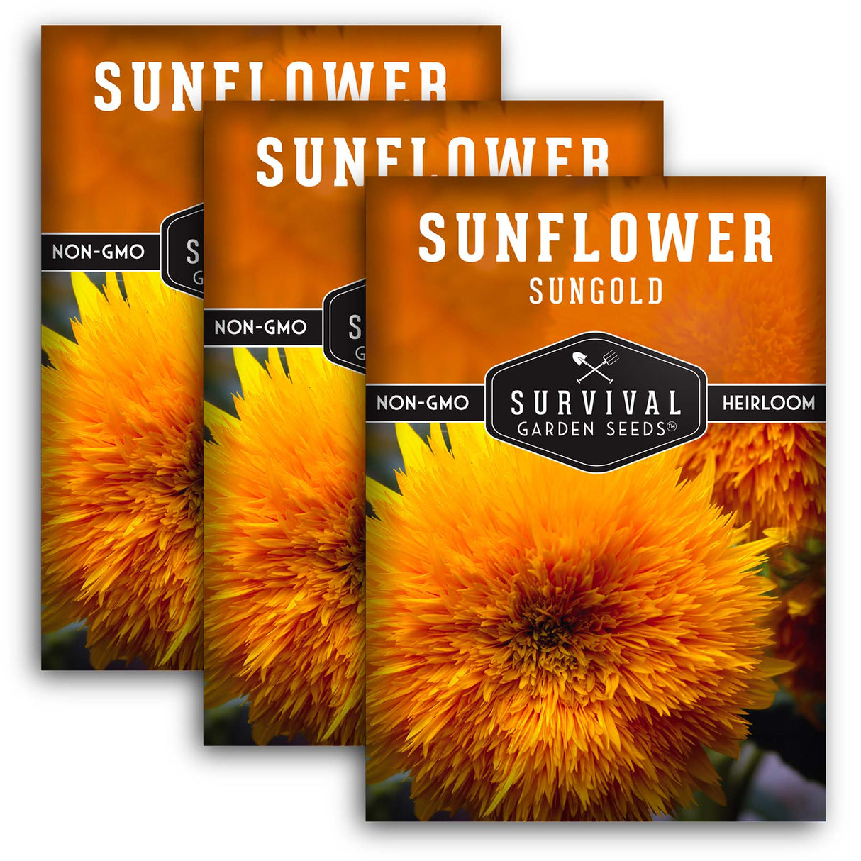 Dwarf Sungold Sunflower Seed