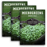 Broccoli Microgreens Seeds