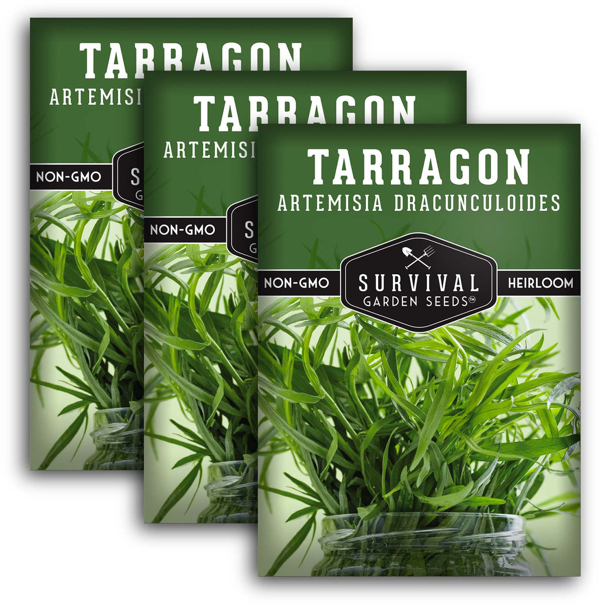 Russian Tarragon Seeds