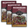 Kale Microgreen Seeds