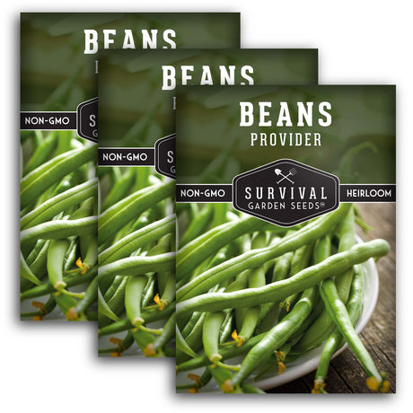 Provider Bush Bean Seed